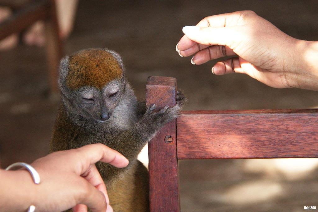 Analatsara Eco Lodge Ile aux Nattes Eksteriør bilde